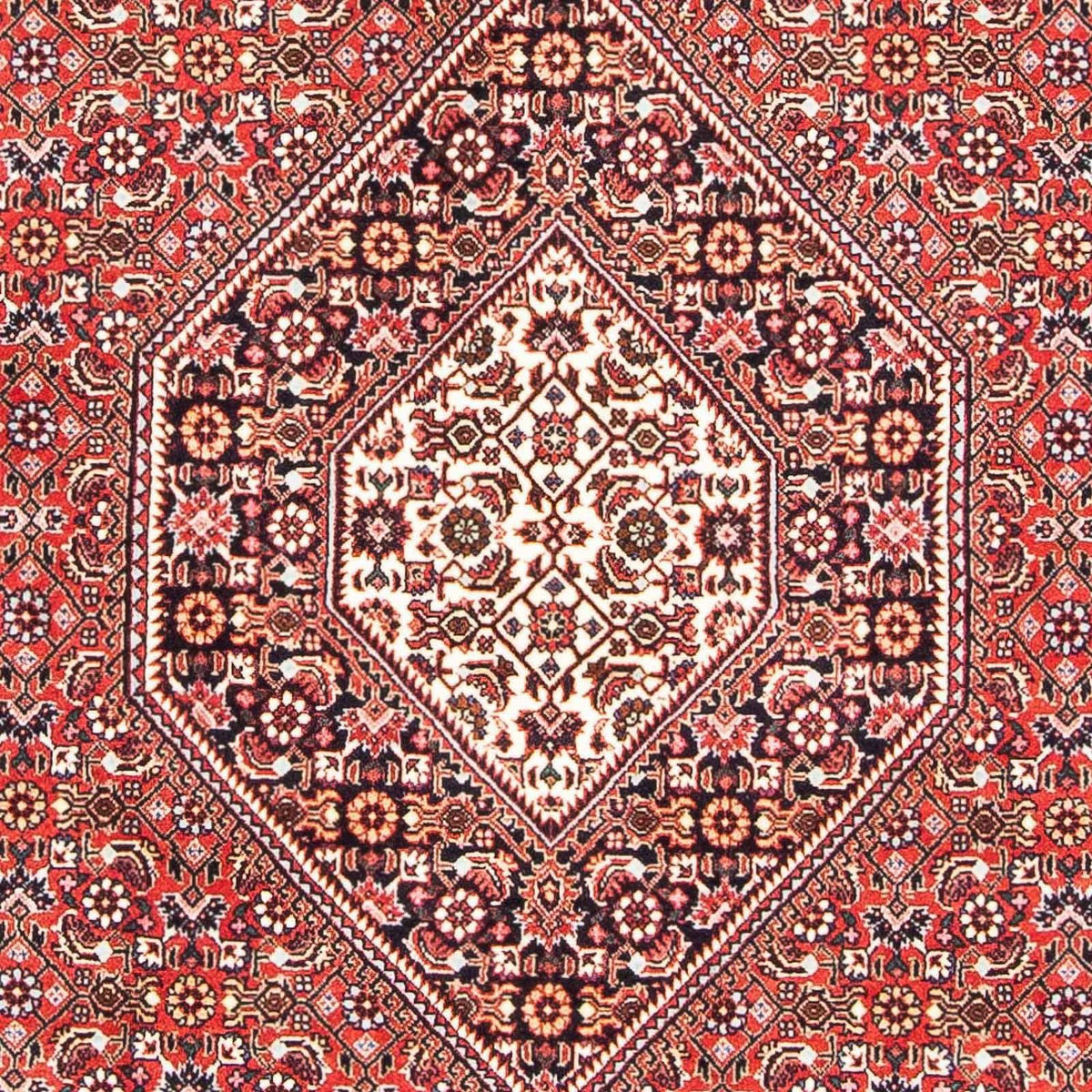 Tapis persan - Bidjar - 181 x 109 cm - rouge clair