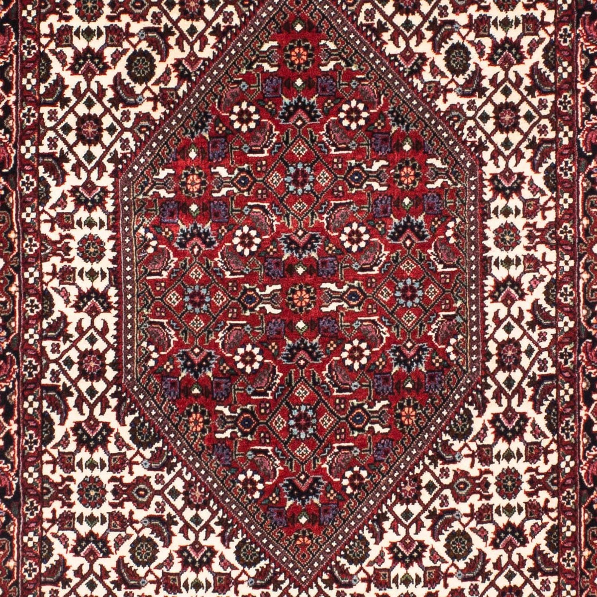 Tapis de couloir Tapis persan - Bidjar - 206 x 74 cm - multicolore