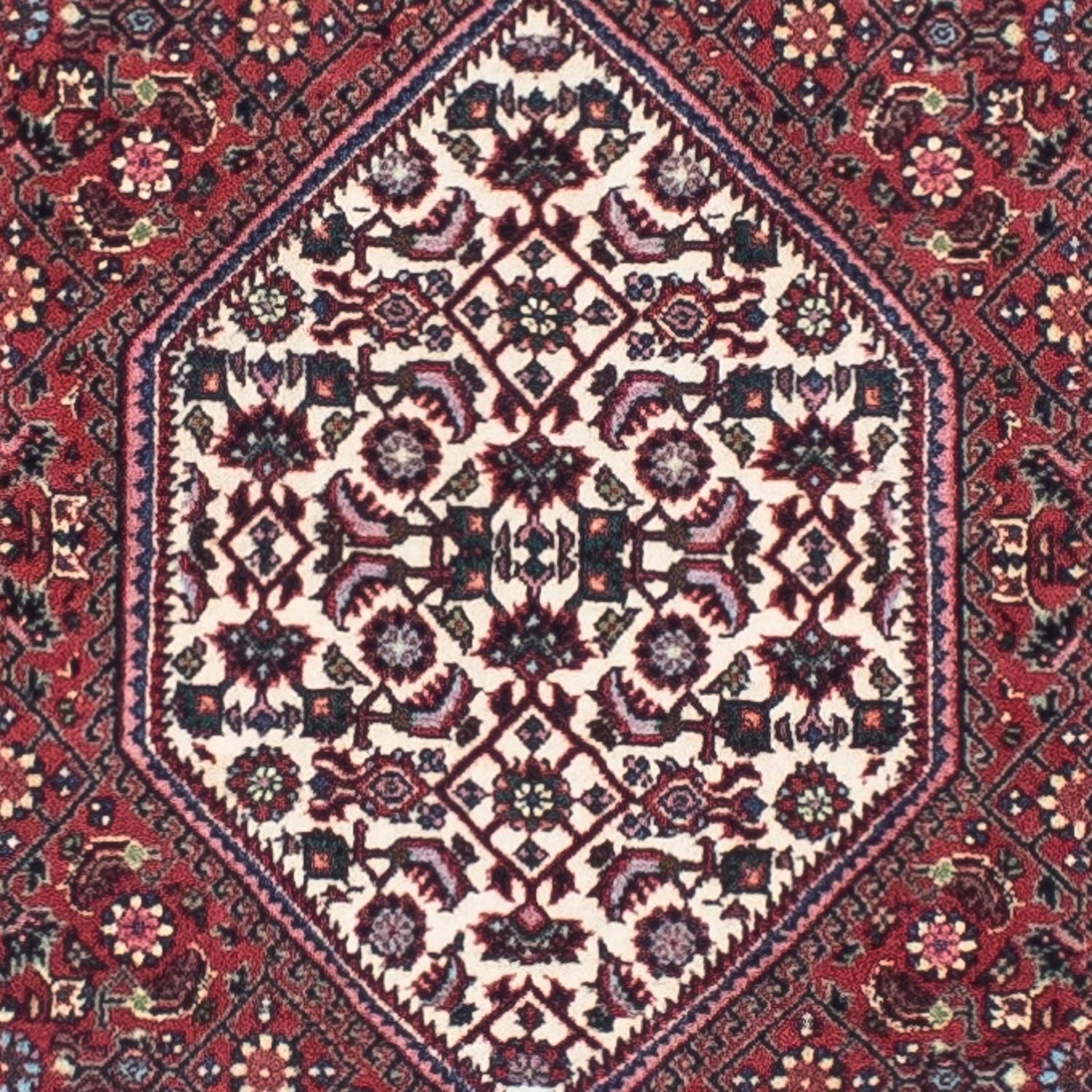 Tapis de couloir Tapis persan - Bidjar - 243 x 70 cm - rouge clair