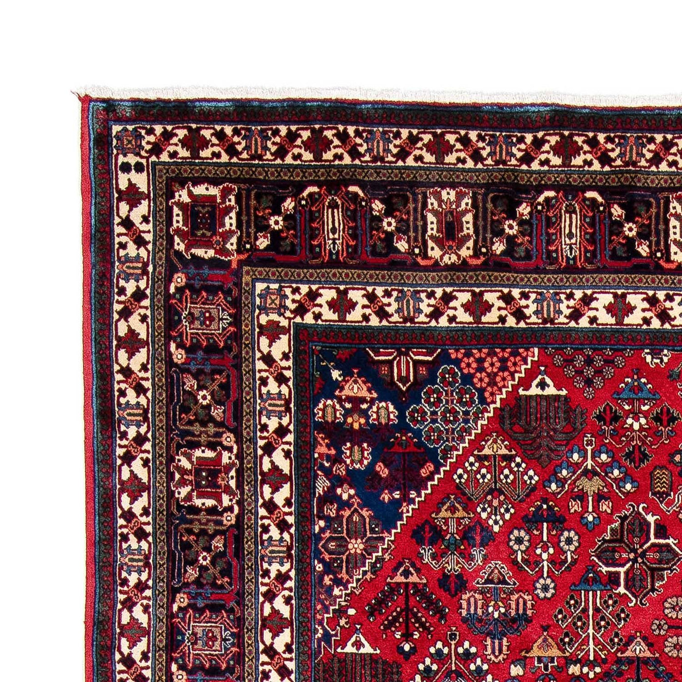 Meymeh Tapis 343x235cm - Tapis persan