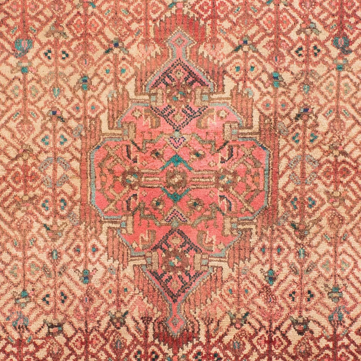 Tapis persan - Classique - 163 x 108 cm - rouge clair