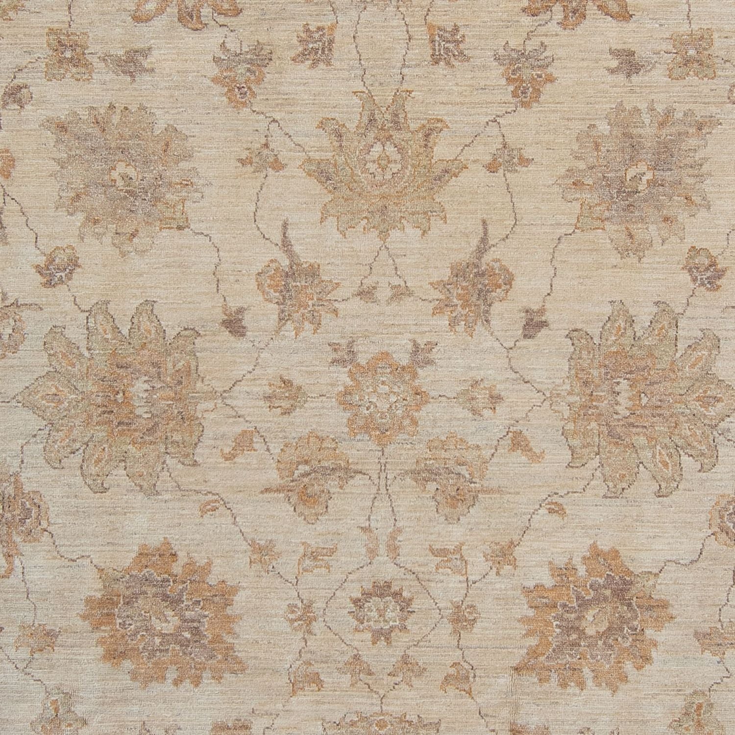 Tapis Ziegler - 337 x 249 cm - beige clair