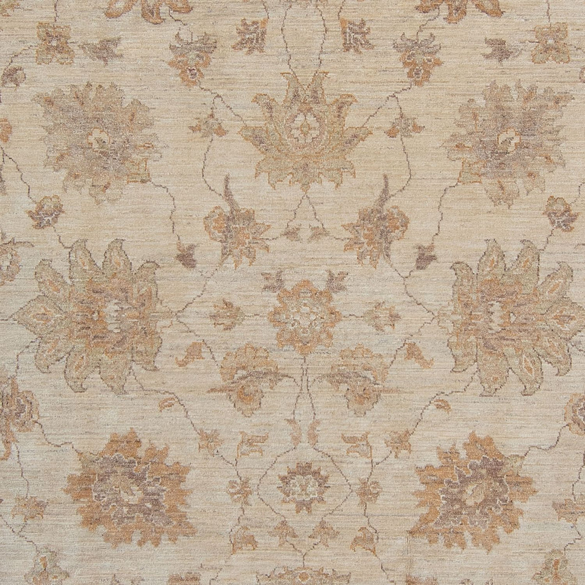 Tapis Ziegler - 337 x 249 cm - beige clair