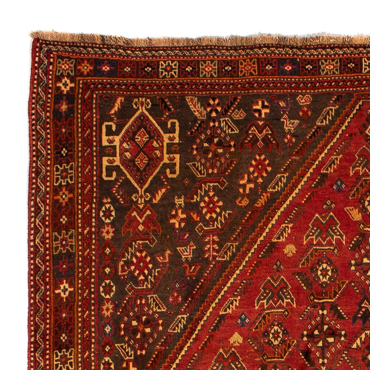 Tapis de Chiraz Tapis 277x181cm - Tapis persan