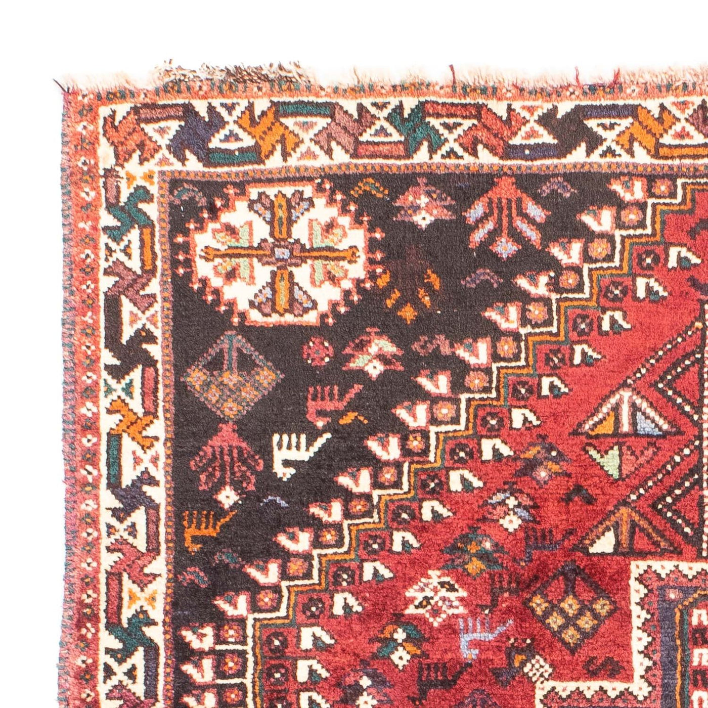Tapis de Chiraz Tapis 163x112cm - Tapis persan