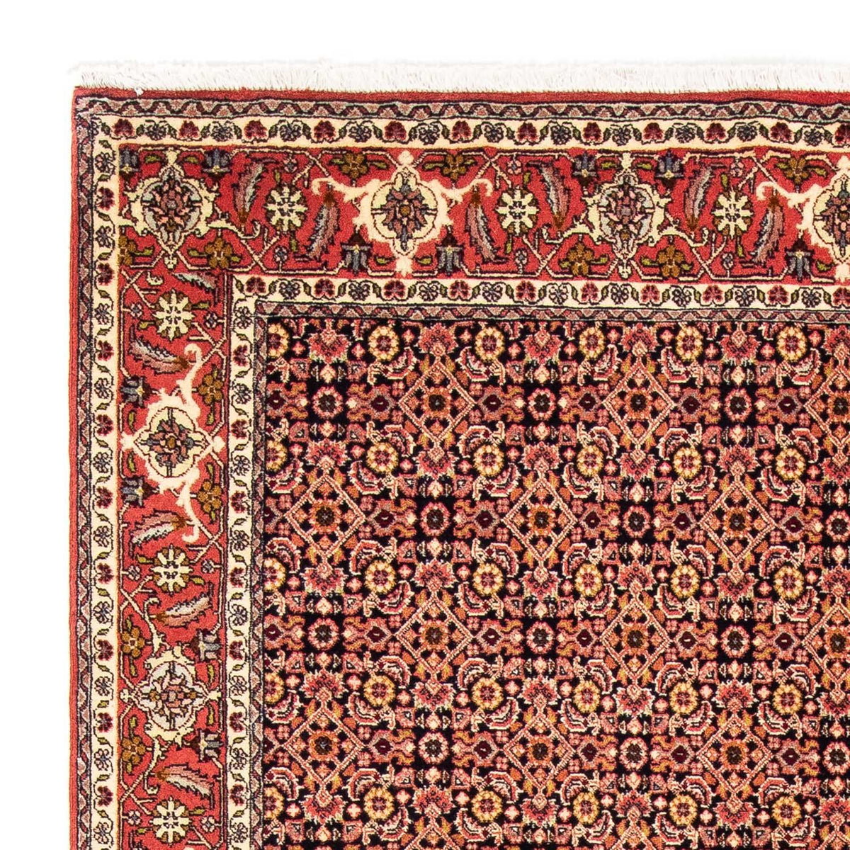 Tapis persan - Bidjar - 235 x 171 cm - rouge clair