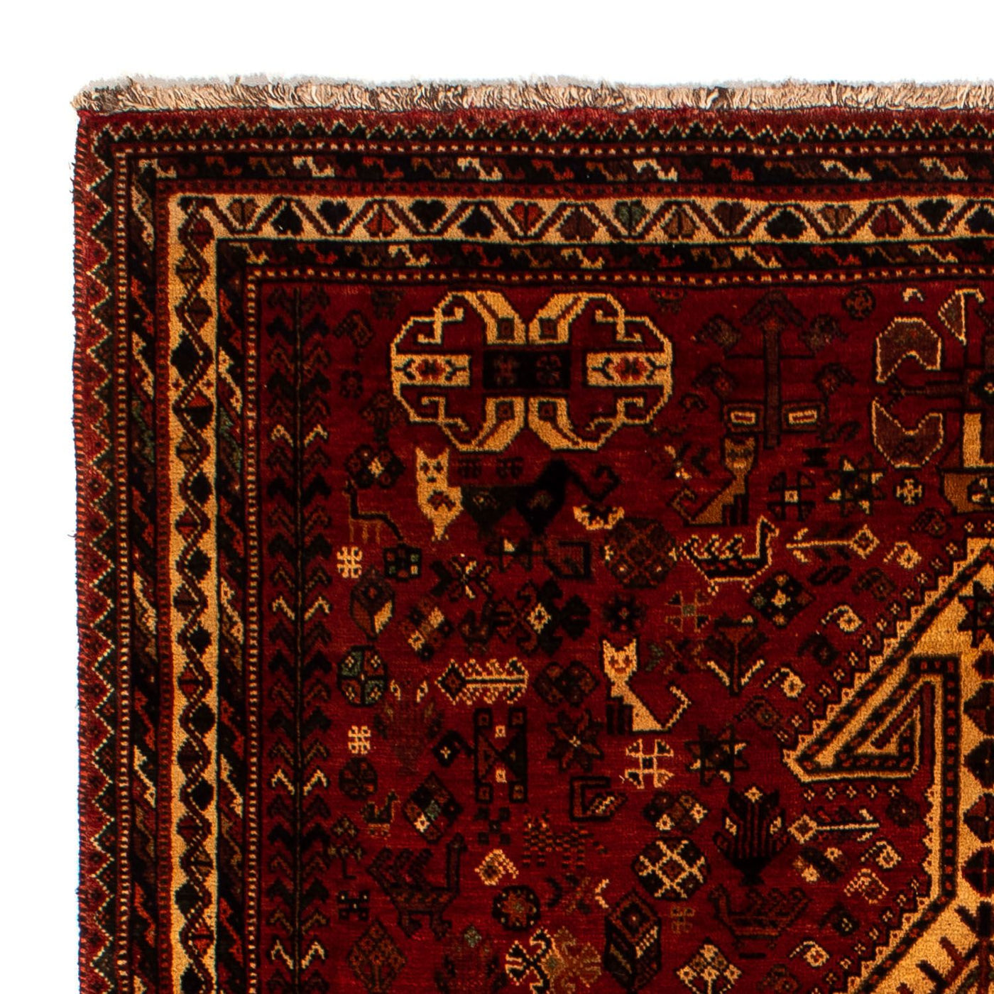 Tapis de Chiraz Tapis 298x178cm - Tapis persan