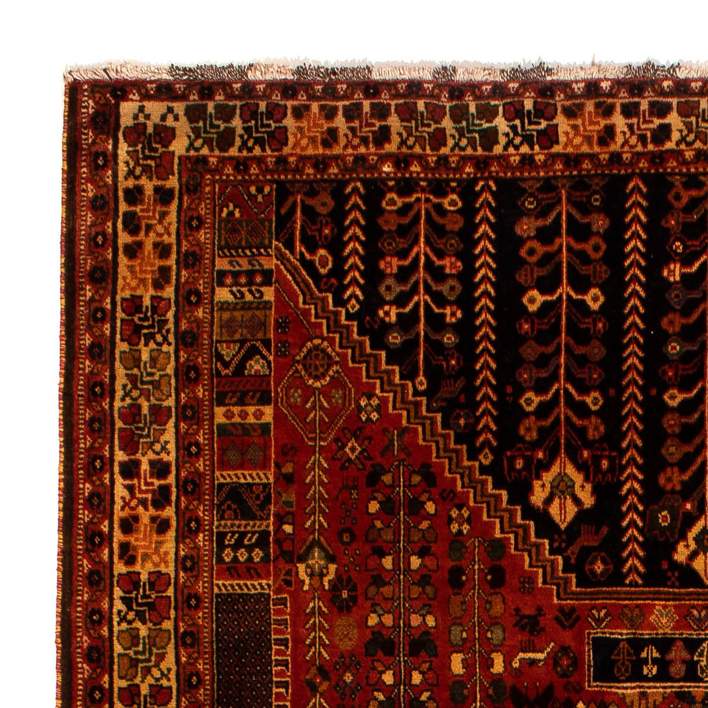 Tapis de Chiraz Tapis 304x204cm - Tapis persan