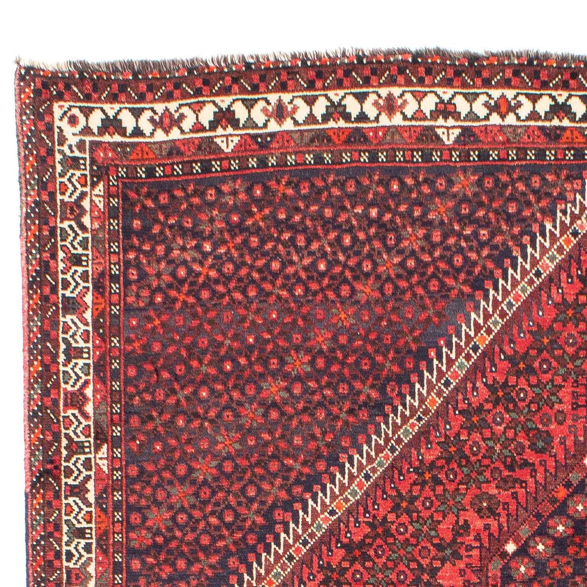 Tapis de Chiraz Tapis 206x281cm - Tapis persan
