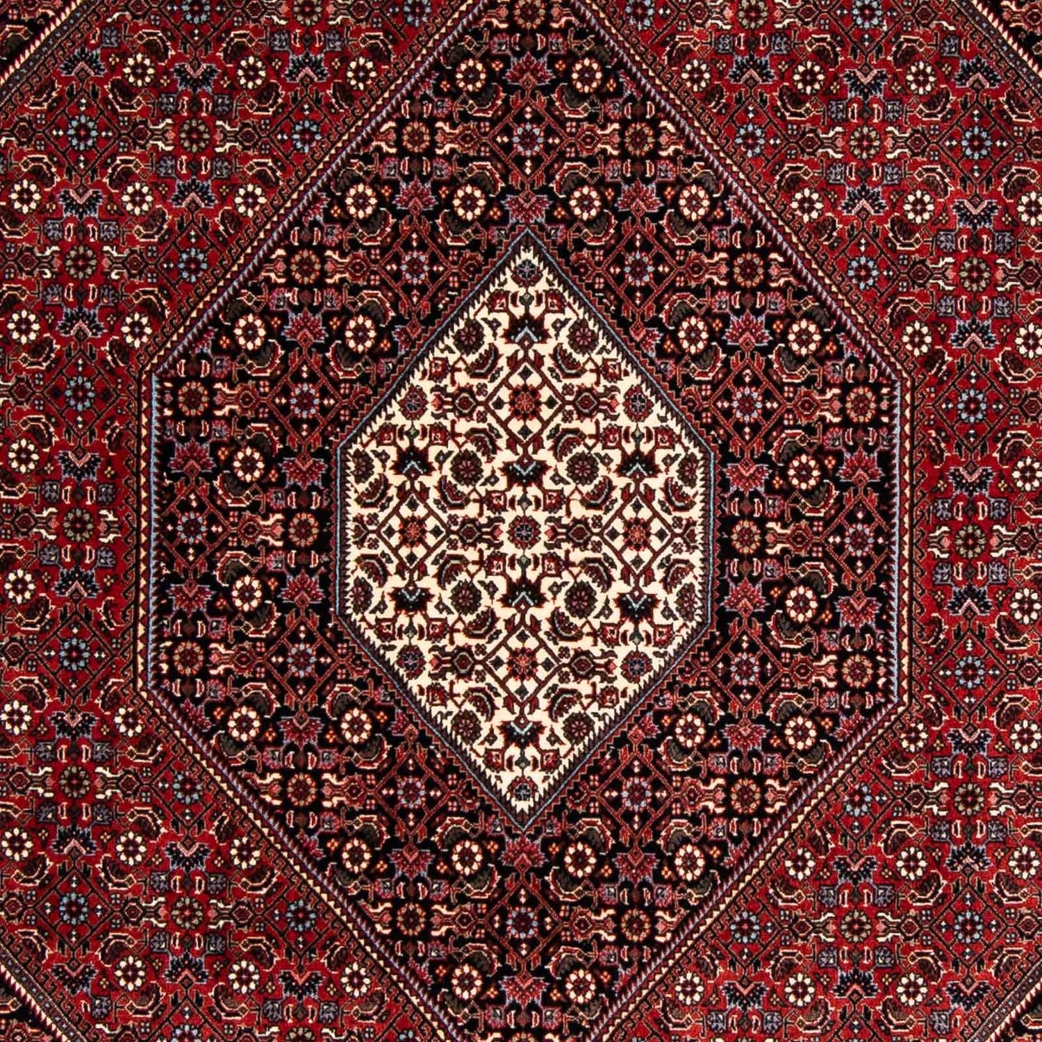 Tapis persan - Bidjar - 241 x 170 cm - rouge foncé