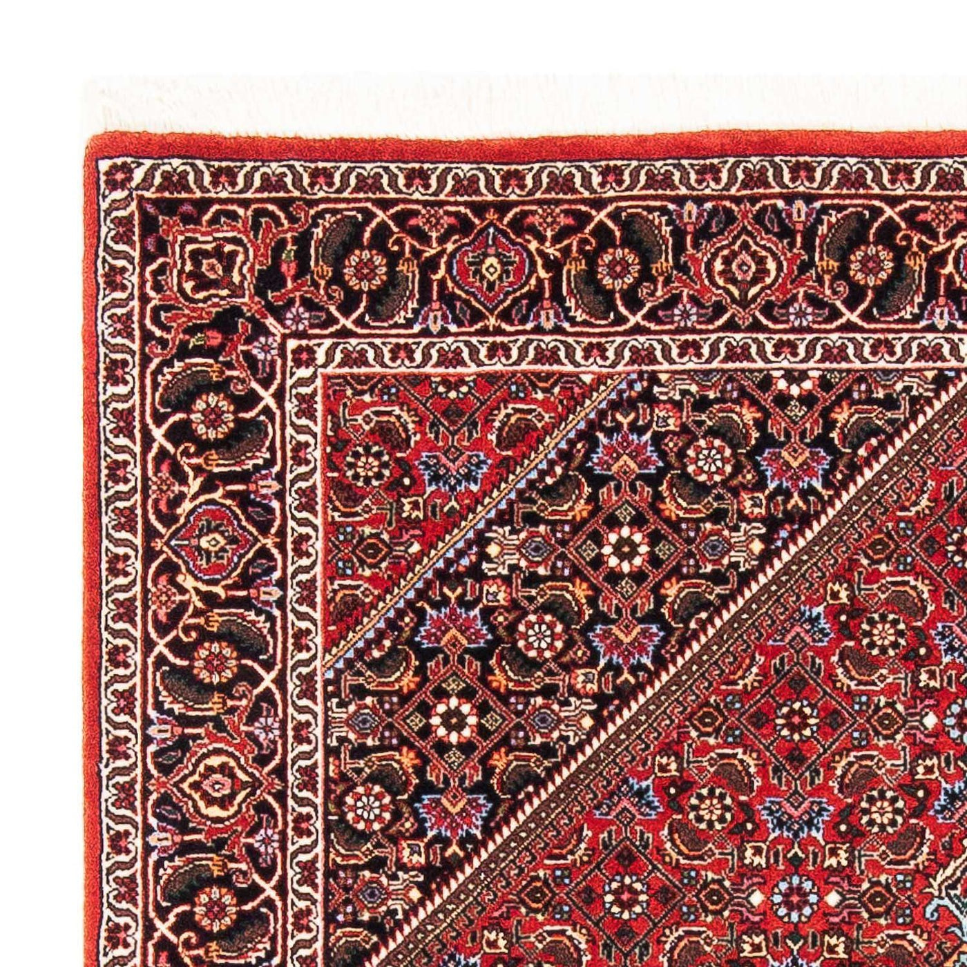 Tapis de Bidjar Tapis 181x111cm - Tapis persan
