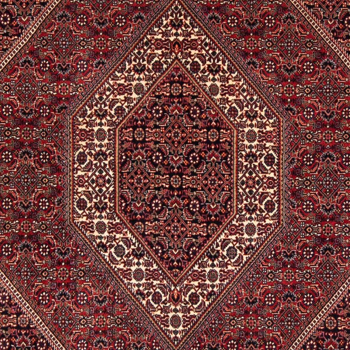 Tapis persan - Bidjar carré  - 152 x 148 cm - rouge foncé