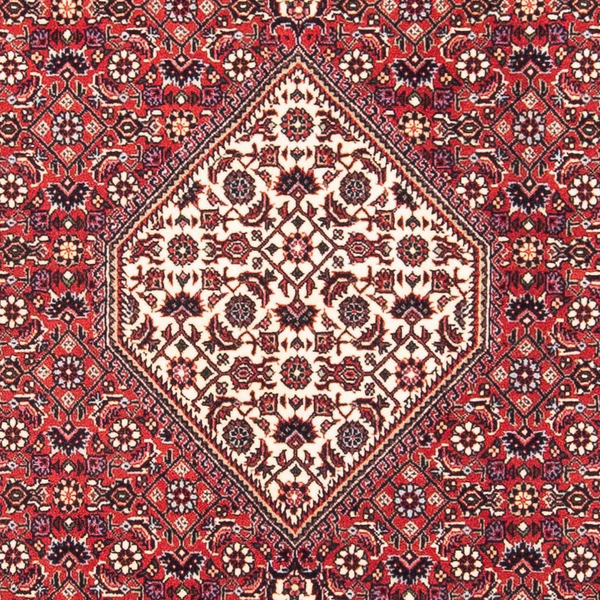 Tapis persan - Bidjar carré  - 115 x 101 cm - rouge