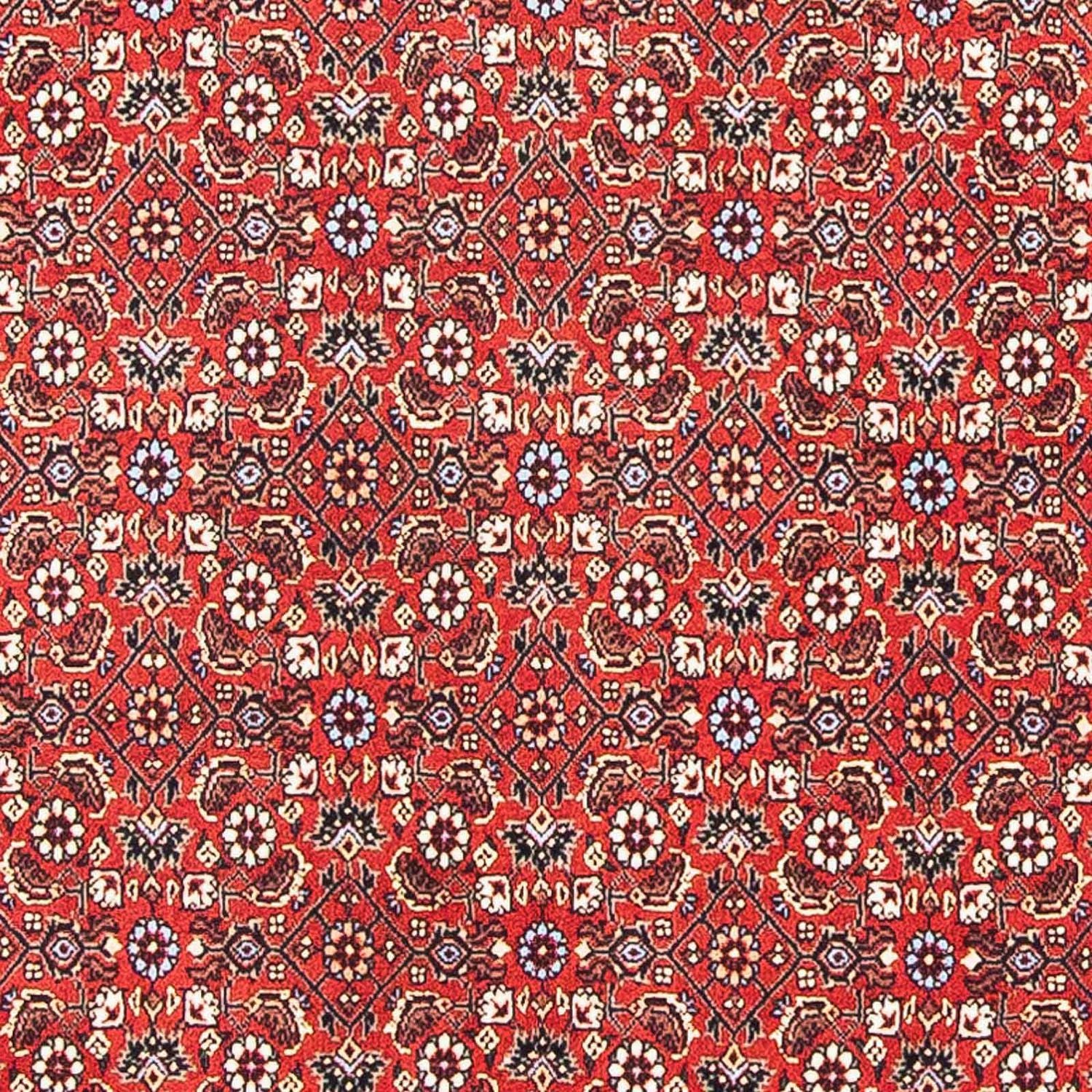 Tapis persan - Bidjar carré  - 98 x 97 cm - rouge