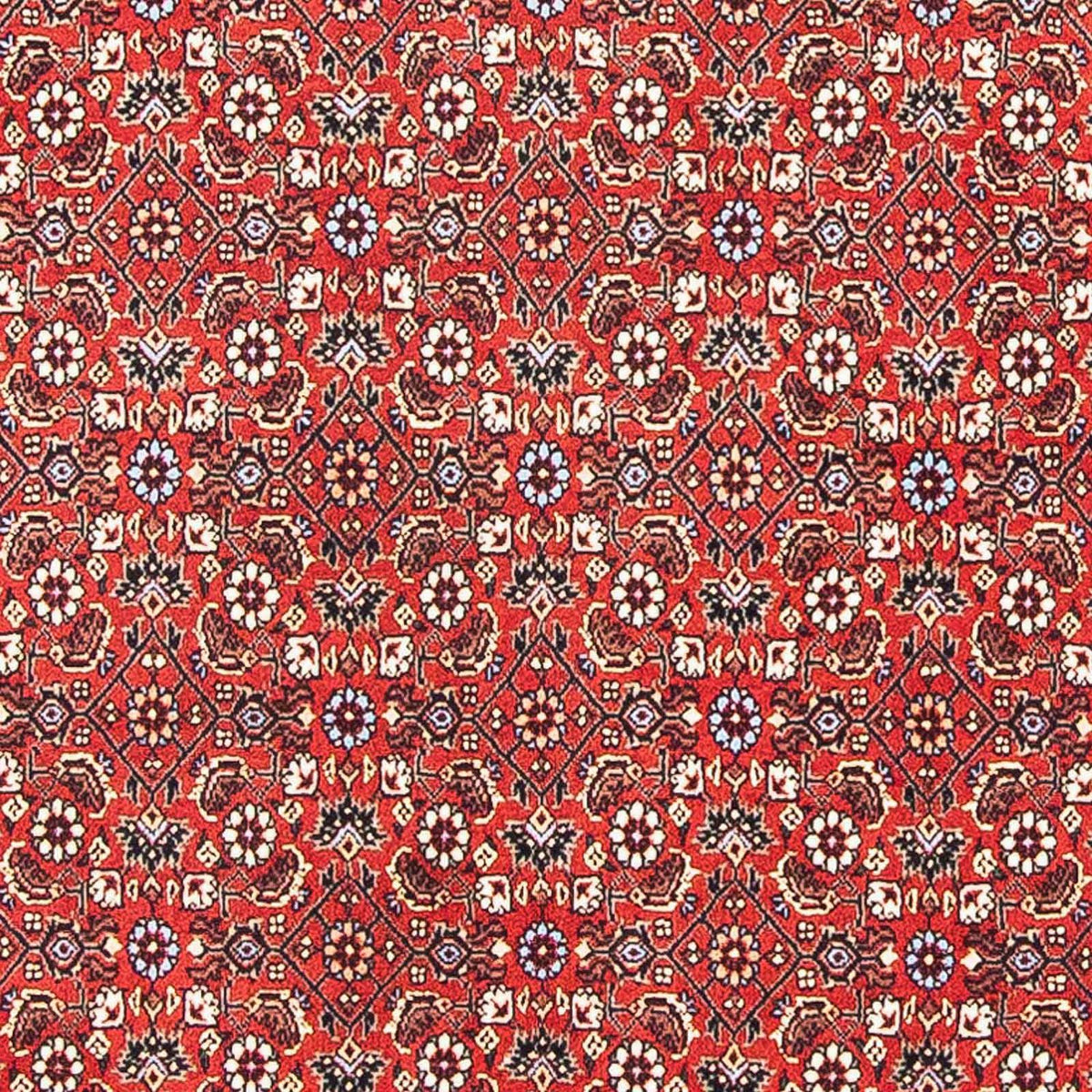 Tapis persan - Bidjar carré  - 98 x 97 cm - rouge