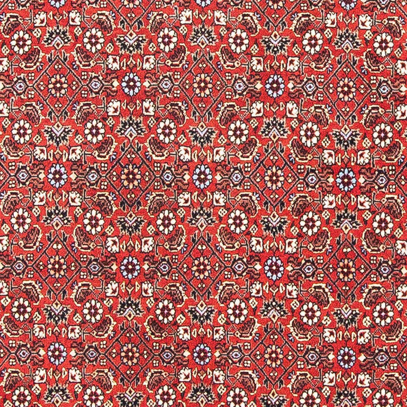 Tapis persan - Bidjar carré  - 98 x 97 cm - rouge