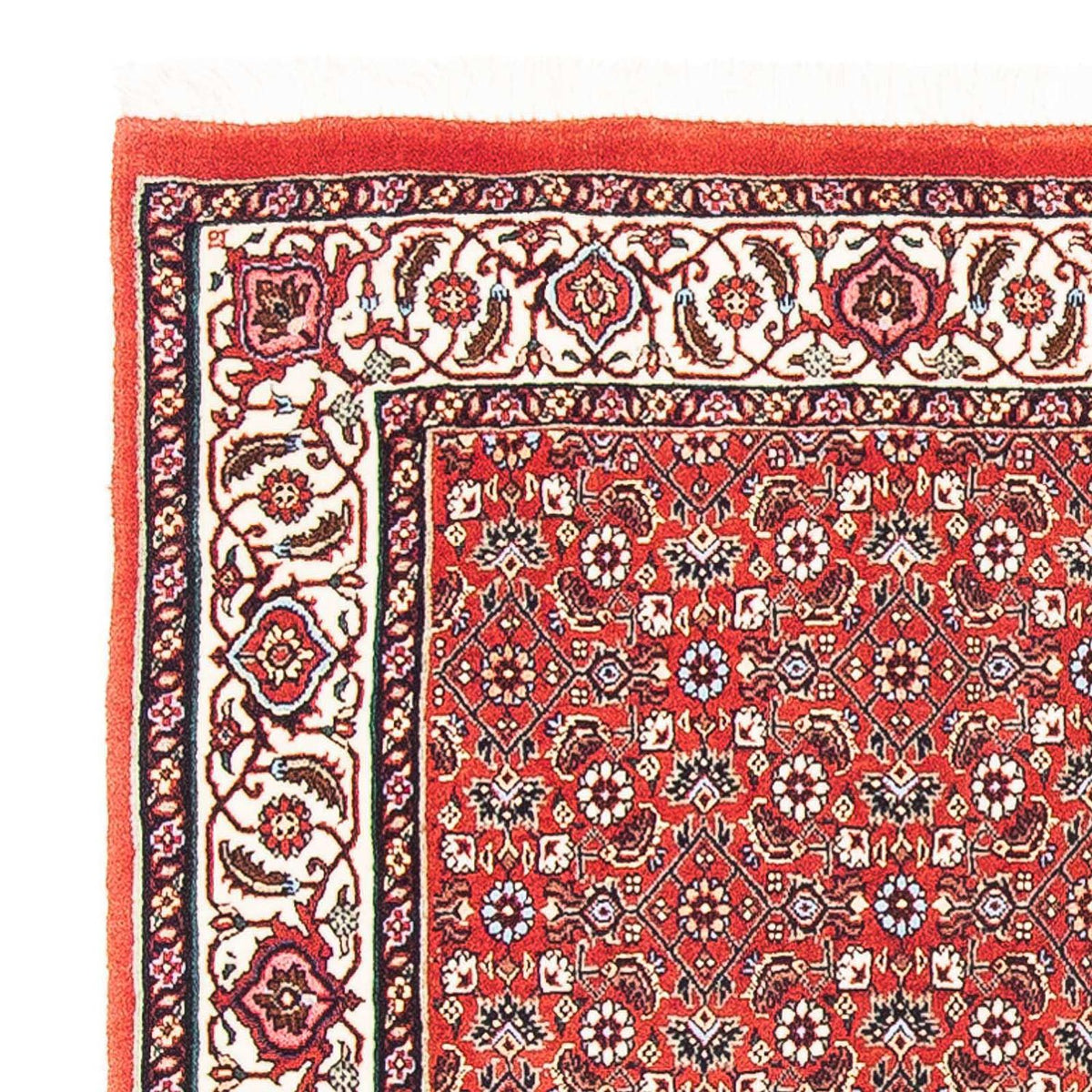 Tapis persan - Bidjar carré  - 98 x 97 cm - rouge