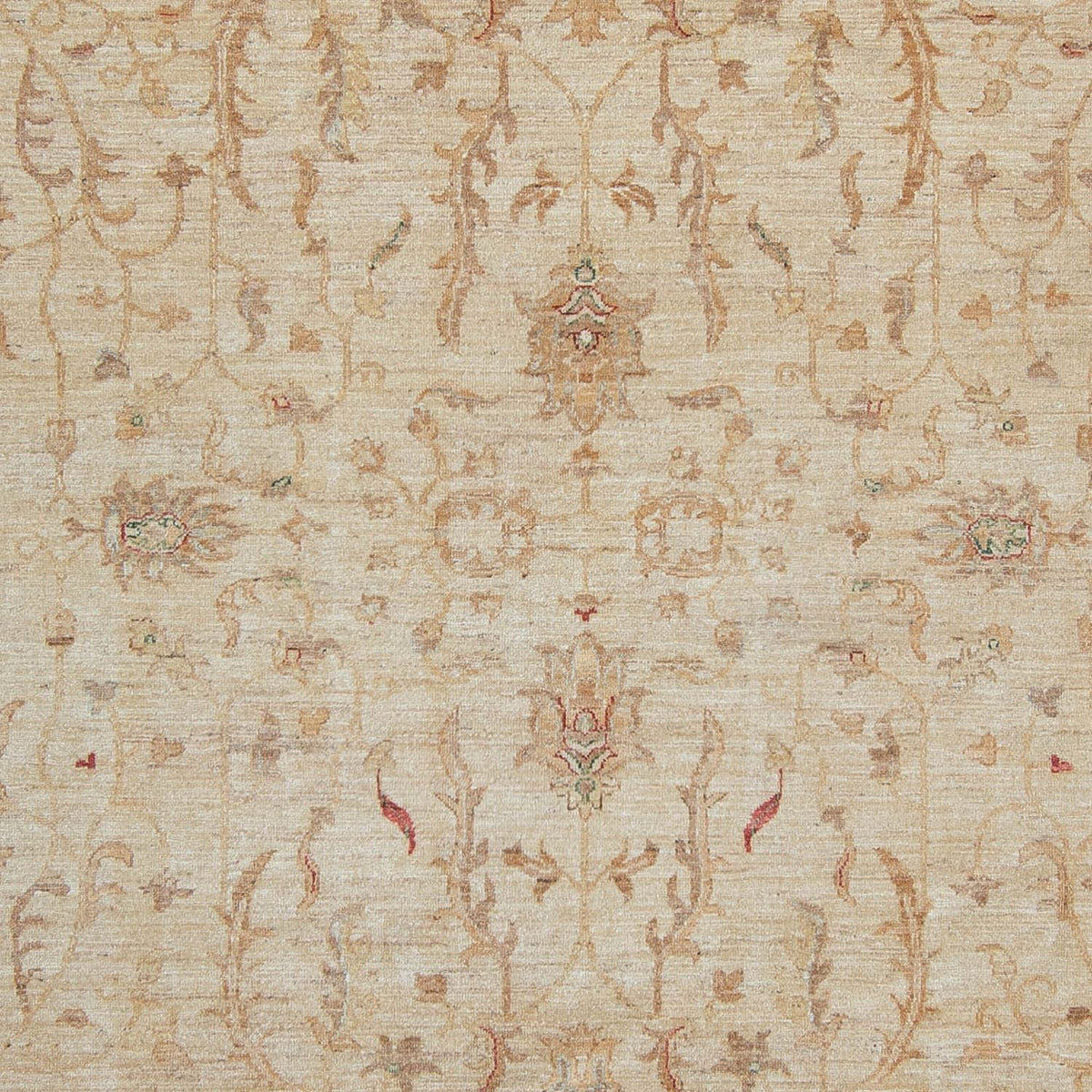 Tapis Ziegler - 347 x 245 cm - beige clair