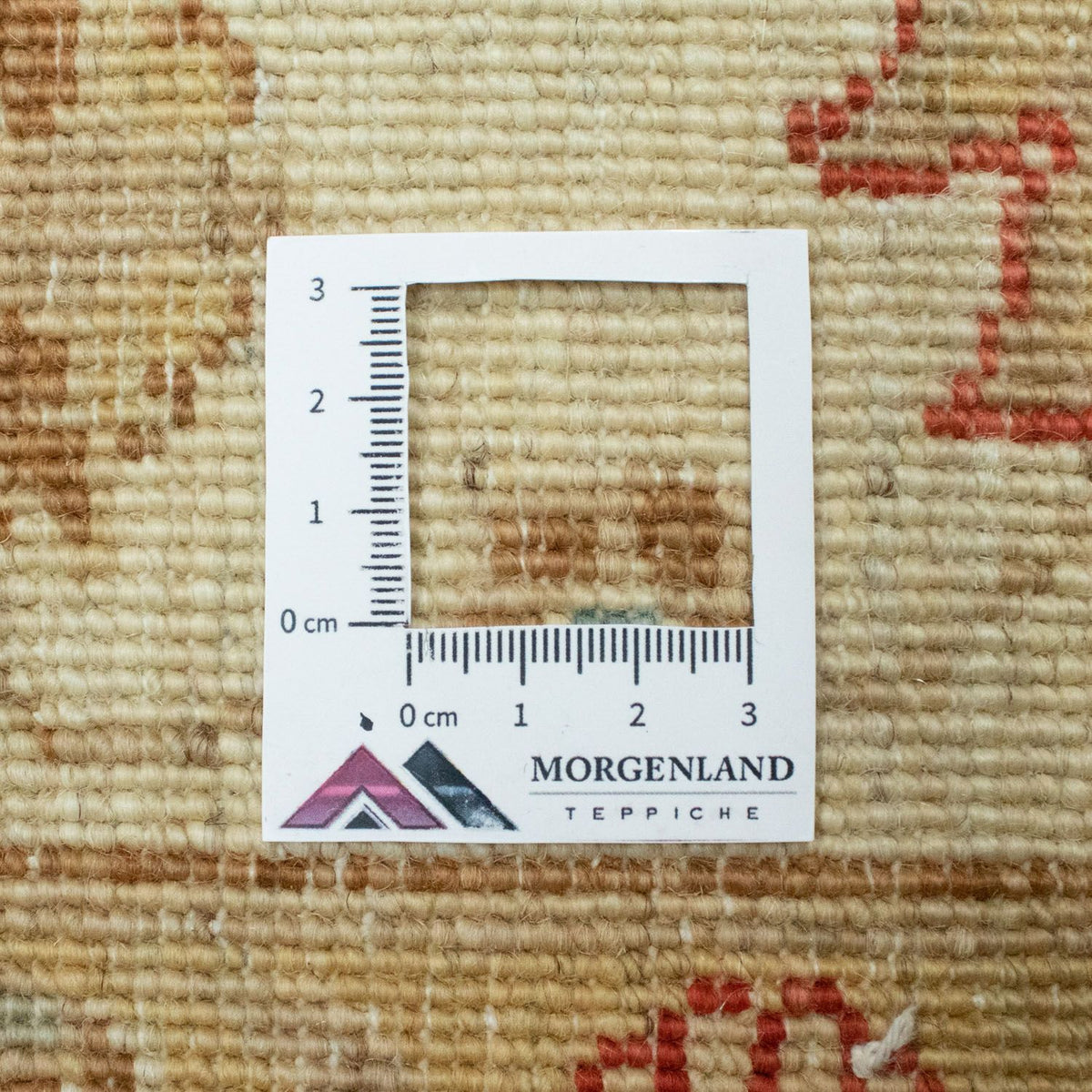 Tapis Ziegler - 200 x 150 cm - beige