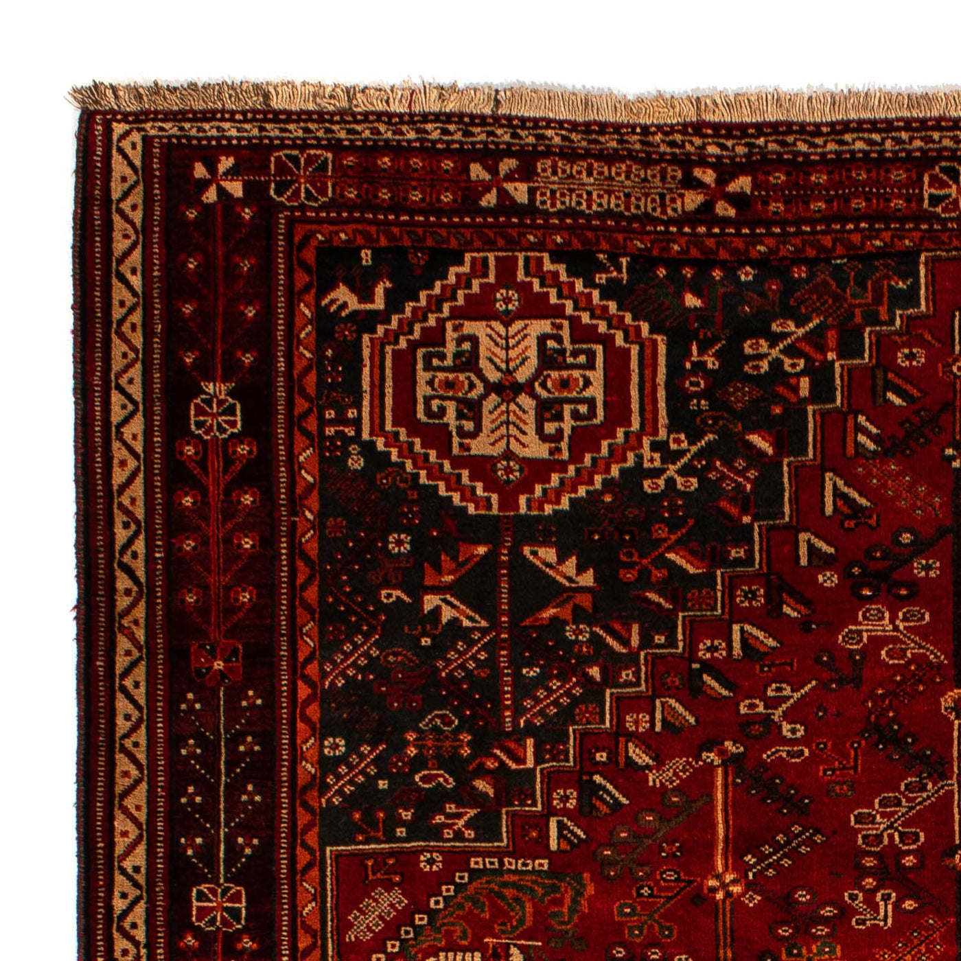 Qashqai Tapis 305x214cm - Tapis persan