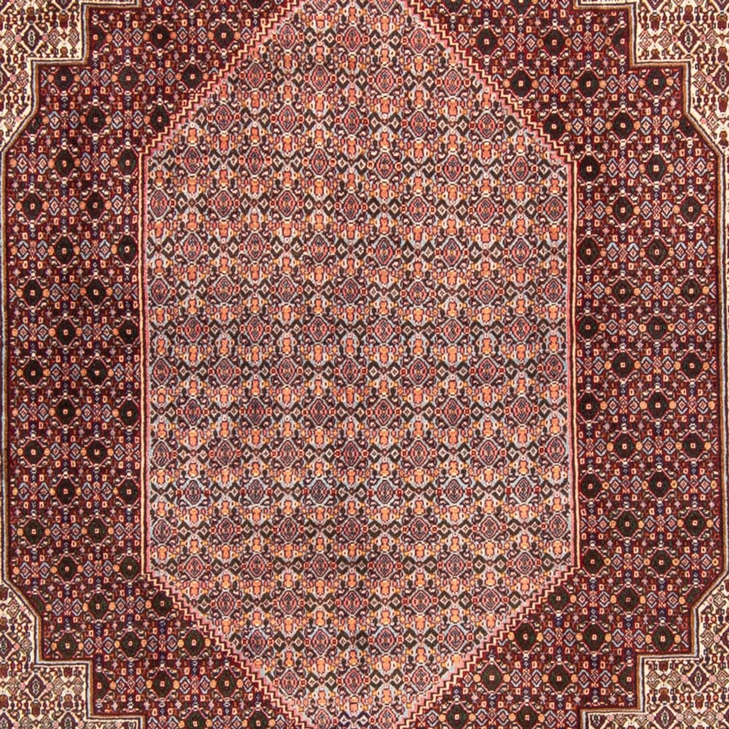 Tapis persan - Classique - 340 x 254 cm - marron