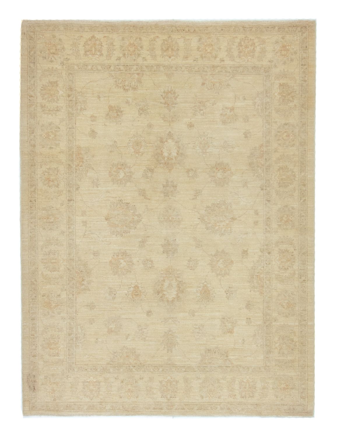 Tapis Ziegler carré  - 170 x 153 cm - beige