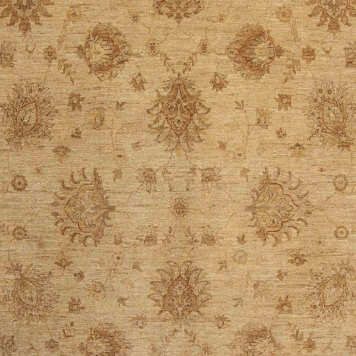 Tapis Ziegler - 290 x 246 cm - marron clair