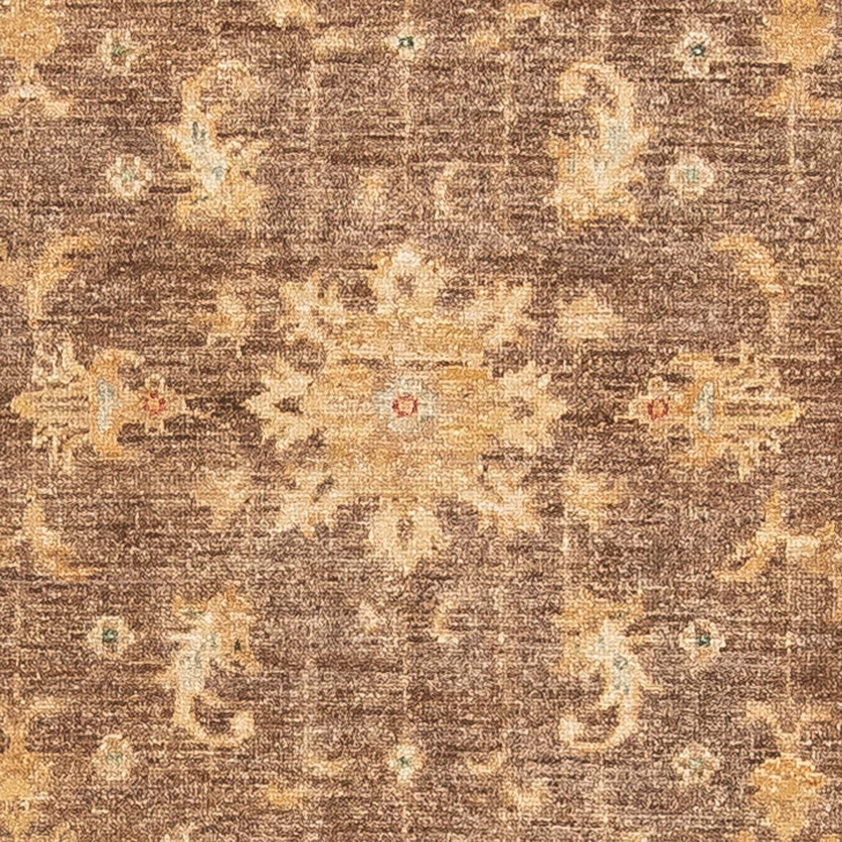 Tapis de couloir Tapis Ziegler - 295 x 82 cm - marron