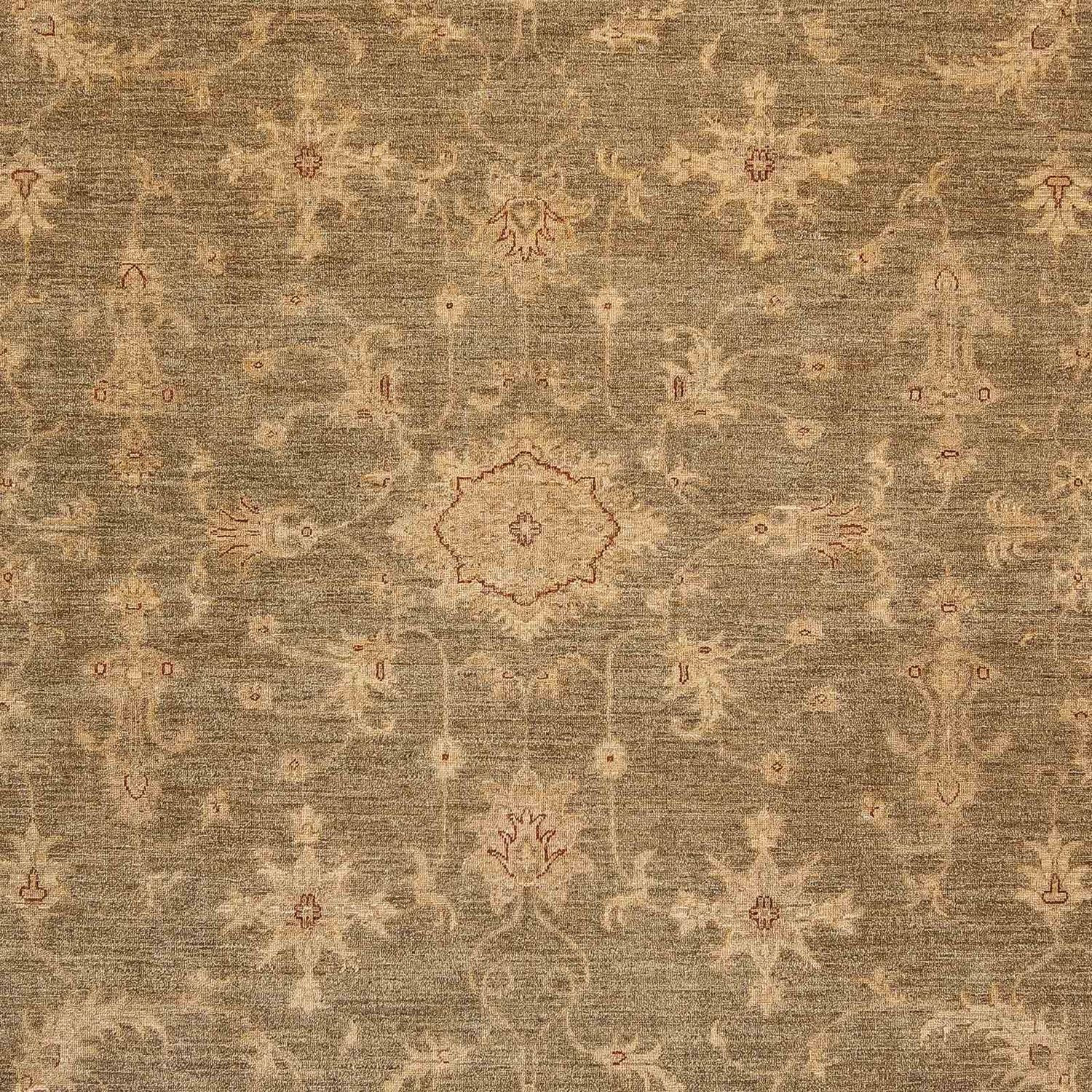 Tapis Ziegler - 353 x 248 cm - marron clair