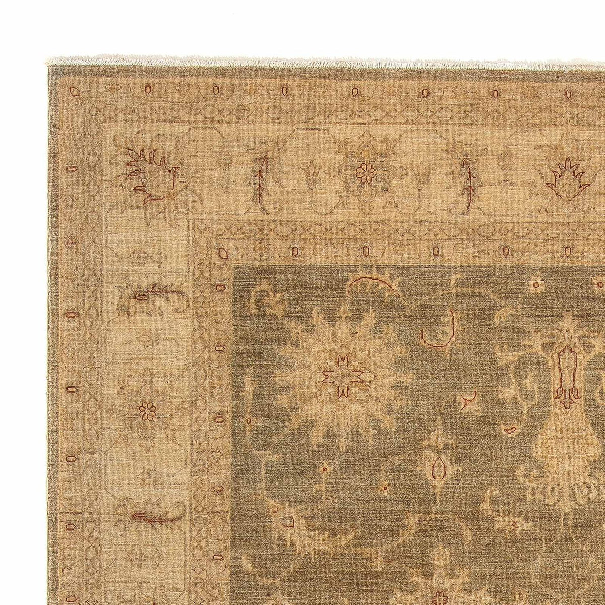 Tapis Ziegler - 353 x 248 cm - marron clair