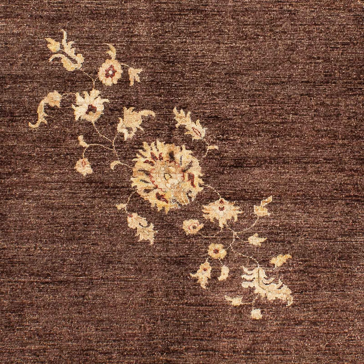 Tapis Ziegler - 237 x 172 cm - marron