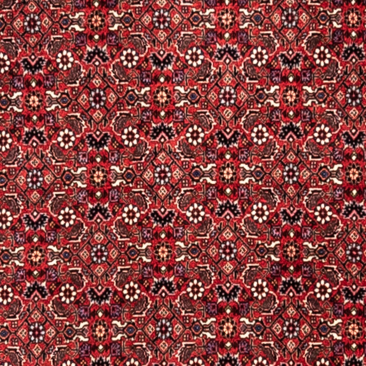 Tapis persan - Bidjar - 345 x 253 cm - rouge