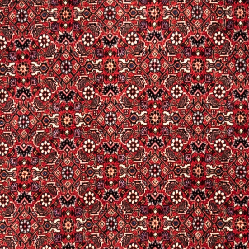 Tapis persan - Bidjar - 345 x 253 cm - rouge