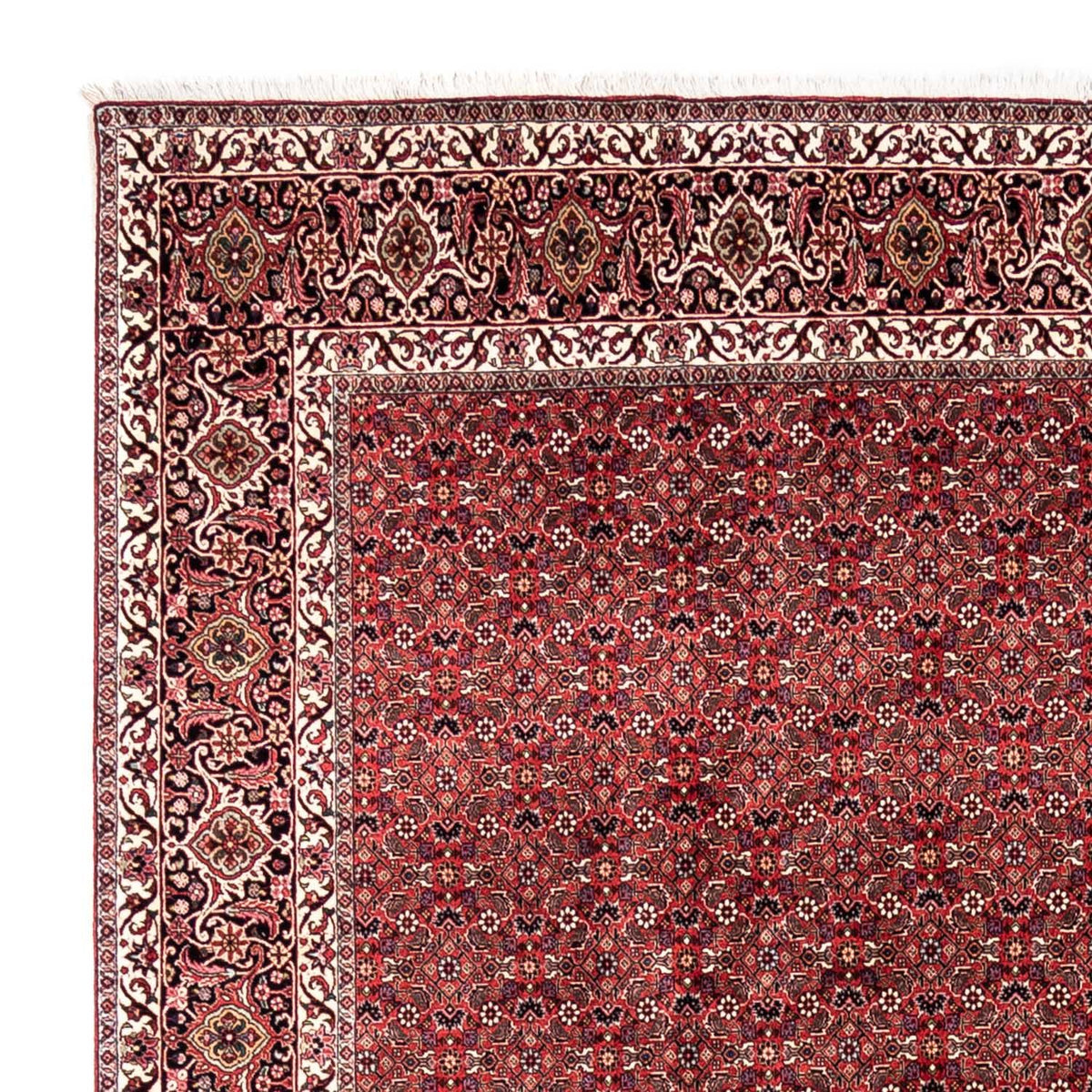 Tapis persan - Bidjar - 345 x 253 cm - rouge