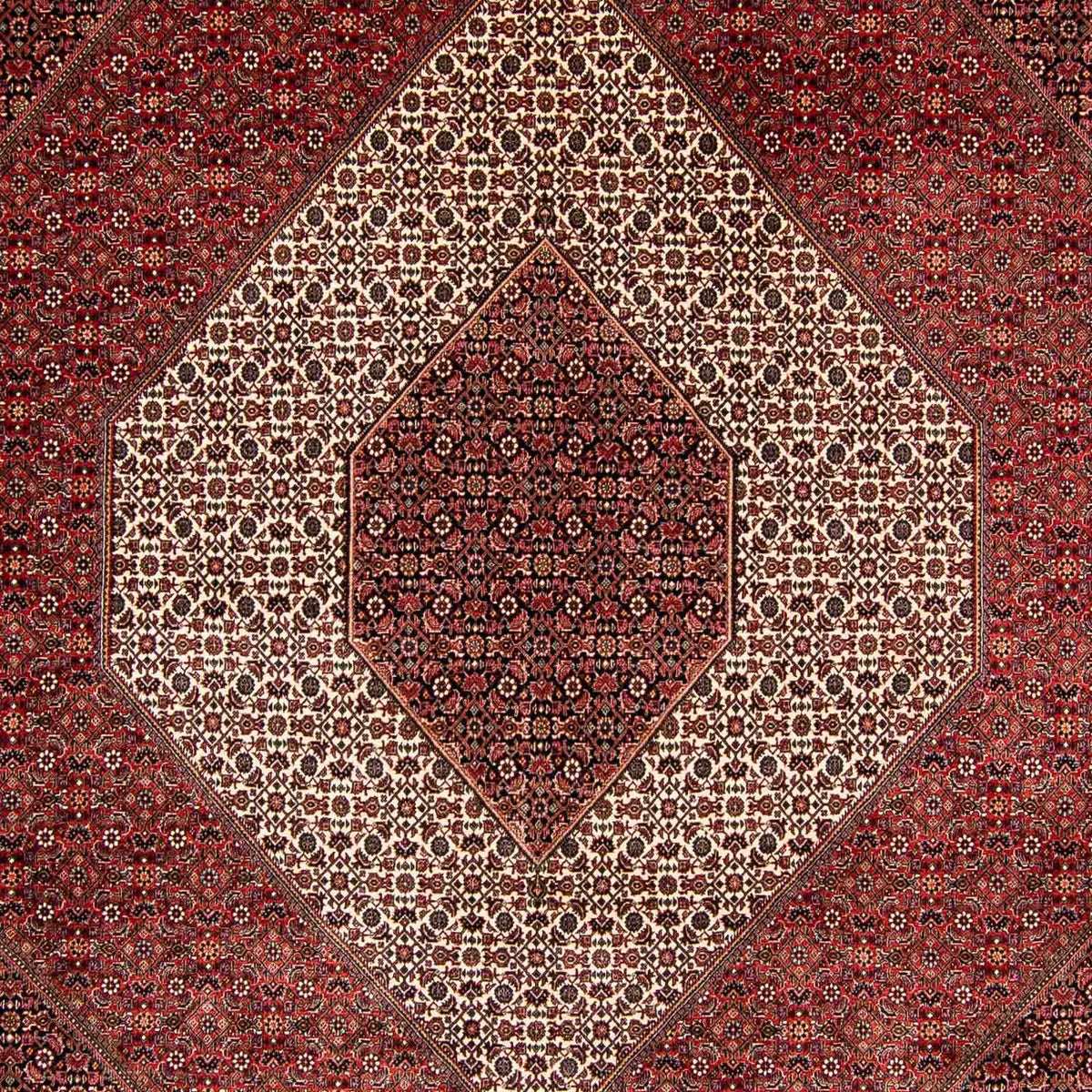 Tapis persan - Bidjar - 397 x 296 cm - rouge foncé