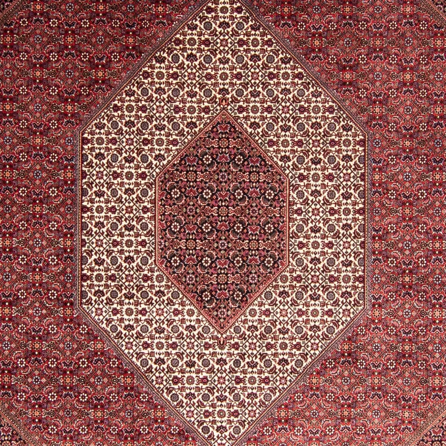 Tapis persan - Bidjar - 344 x 254 cm - rouge clair