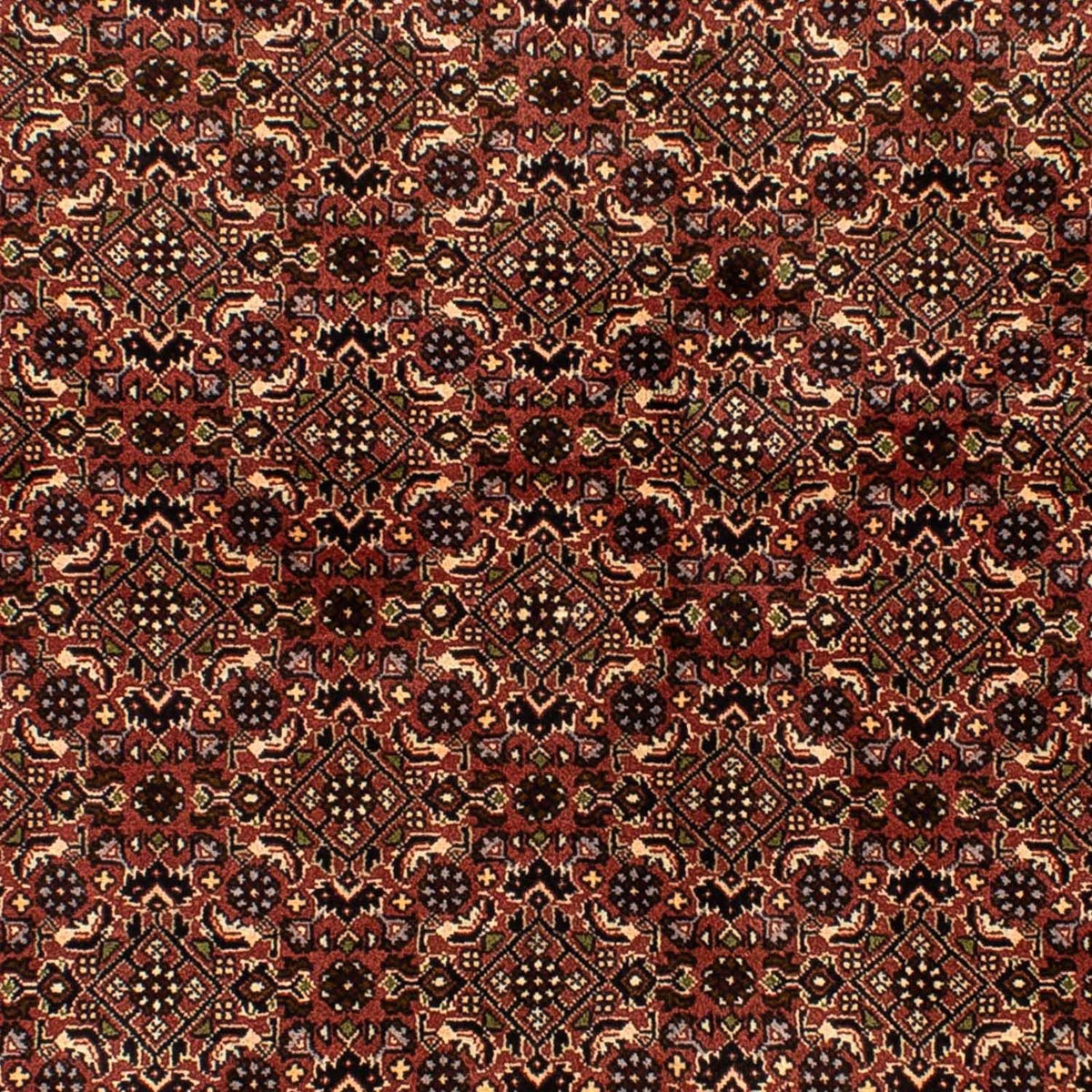 Tapis persan - Bidjar - 214 x 136 cm - marron
