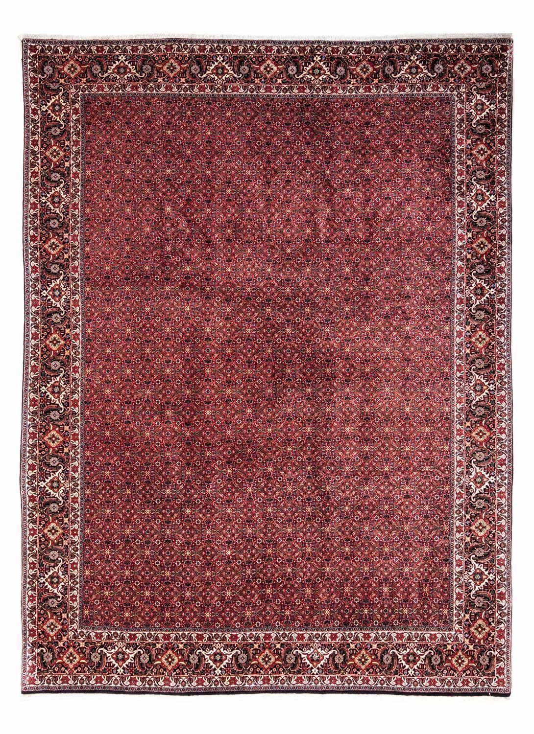 Tapis persan - Bidjar - 338 x 250 cm - rouge