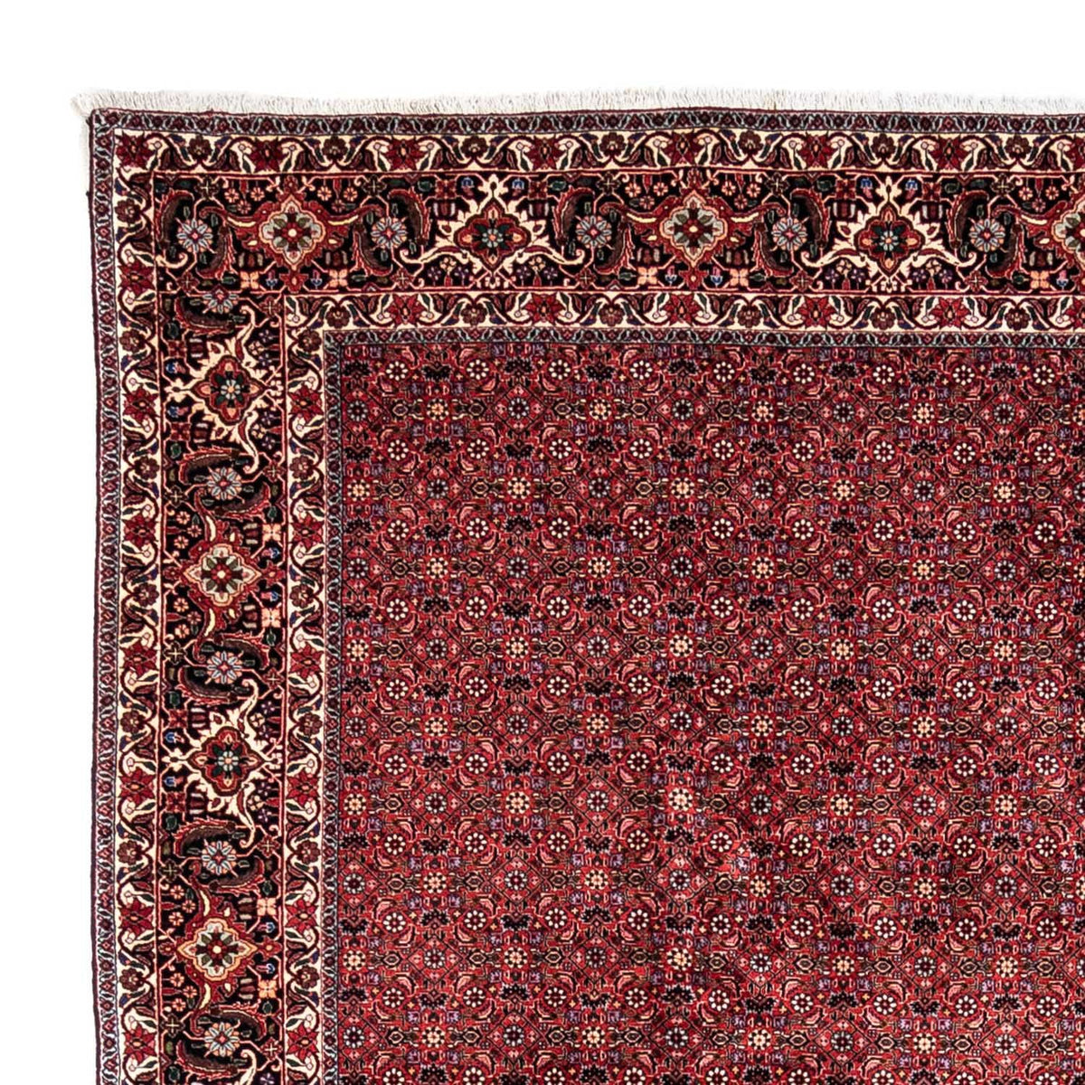 Tapis persan - Bidjar - 338 x 250 cm - rouge