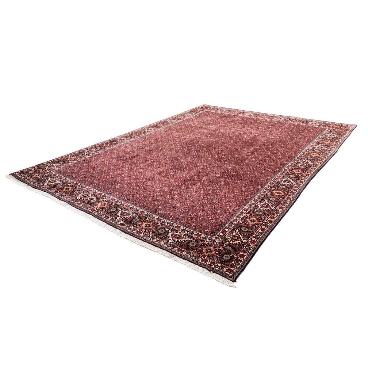 Tapis persan - Bidjar - 338 x 250 cm - rouge