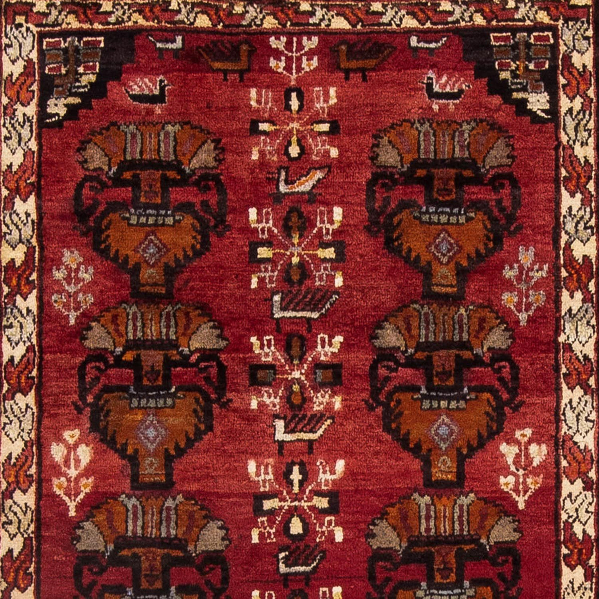 Tapis de couloir Tapis Belutsch - 181 x 107 cm - rouge