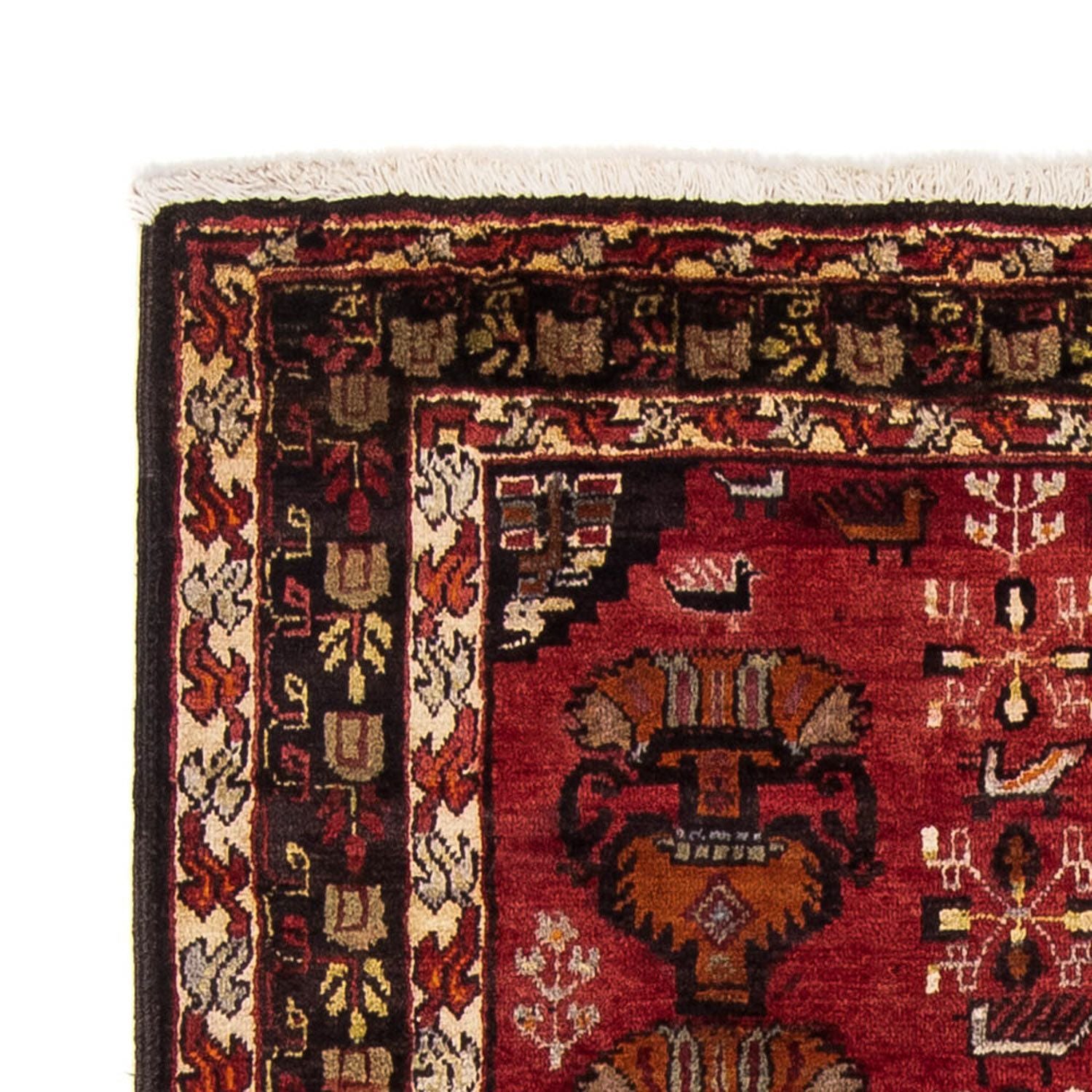 Tapis de couloir Tapis Belutsch - 181 x 107 cm - rouge