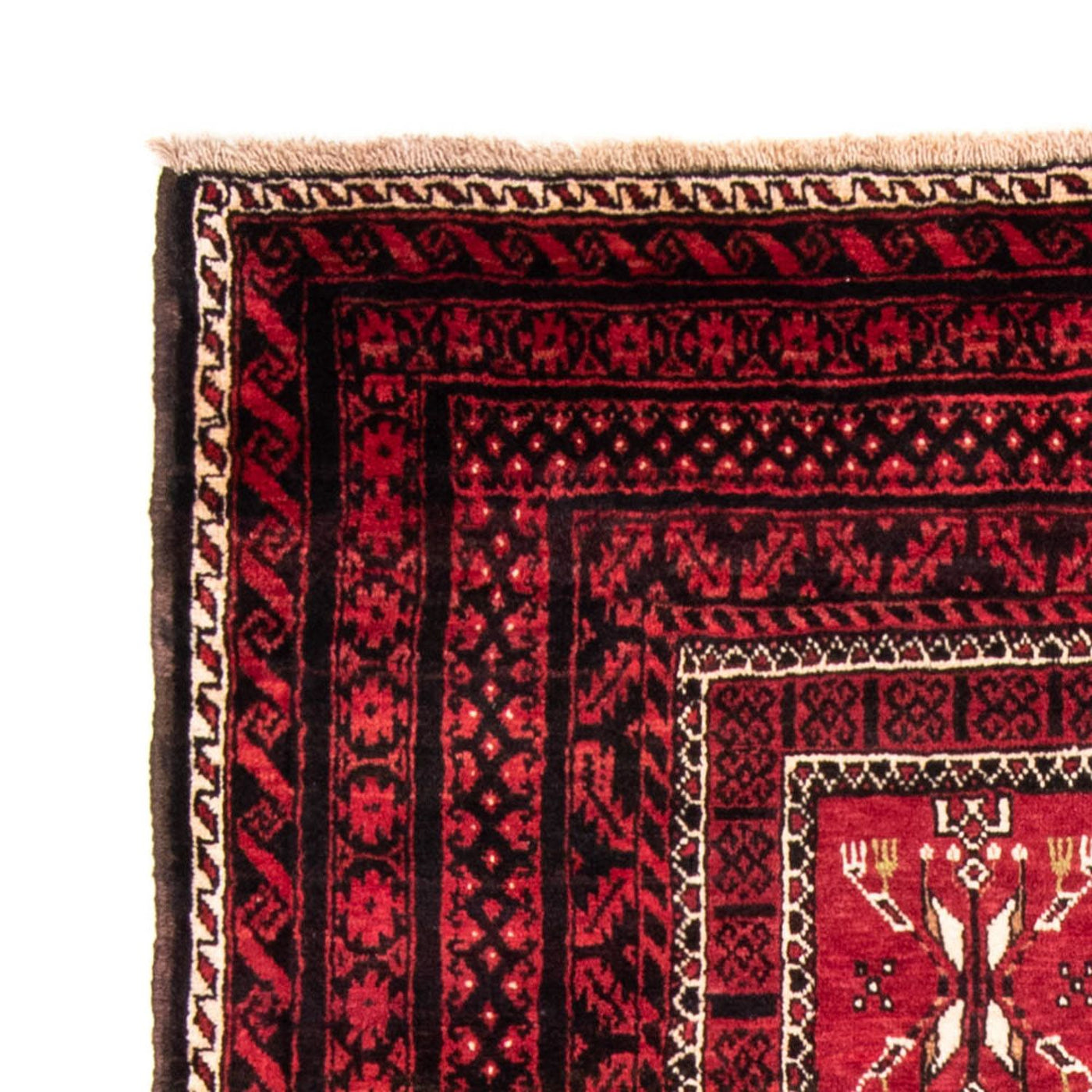 Tapis Belutsch 220x114cm - Tapis persan