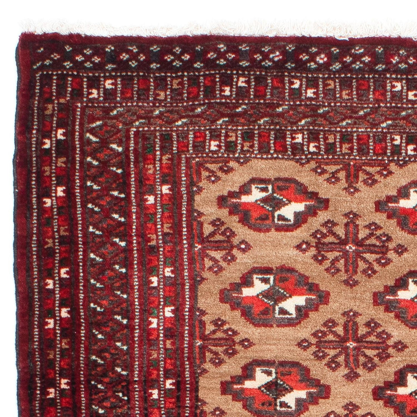 Tapis Belutsch 154x98cm - Tapis oriental
