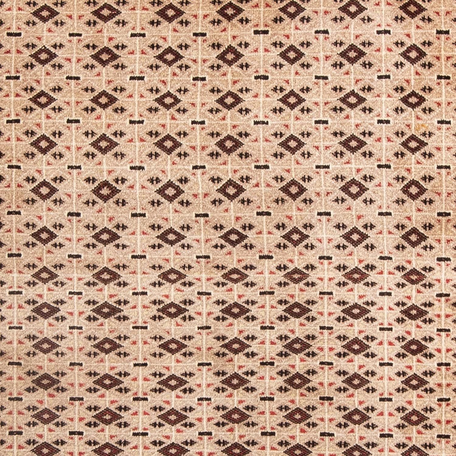 Tapis Belutsch - 181 x 134 cm - beige
