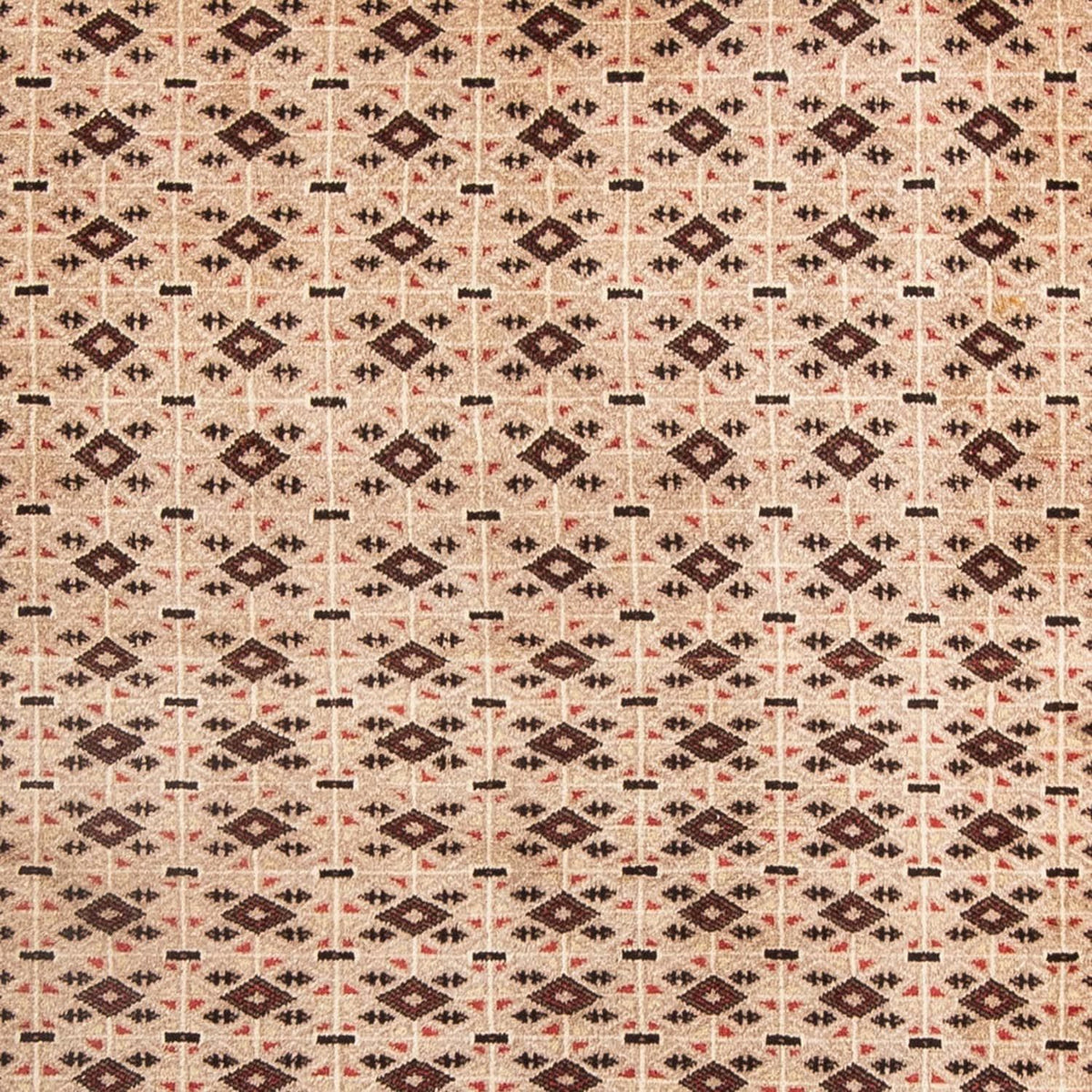 Tapis Belutsch - 181 x 134 cm - beige