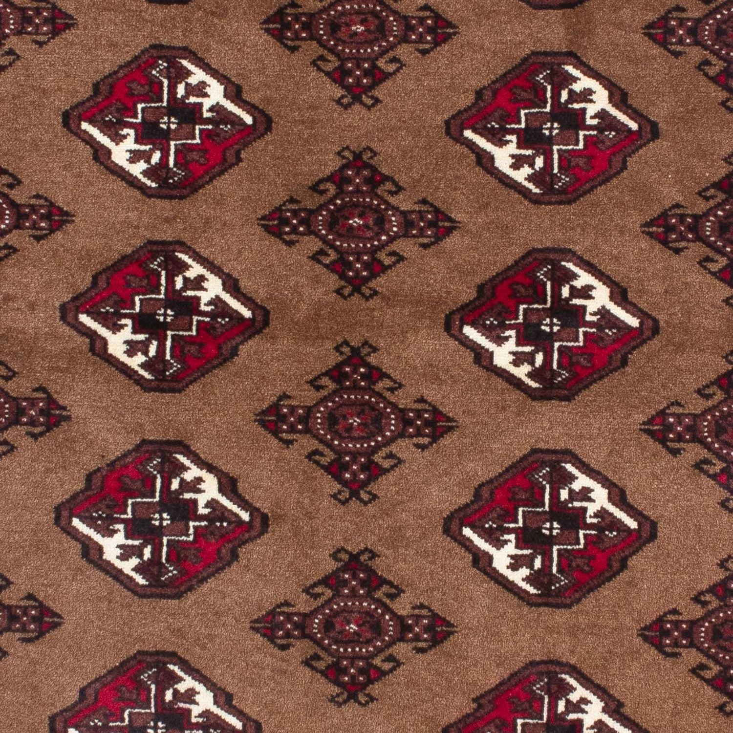 Tapis Belutsch - 151 x 102 cm - marron