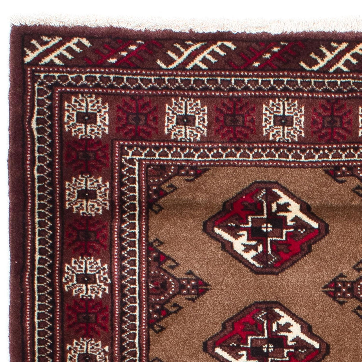 Tapis Belutsch - 151 x 102 cm - marron