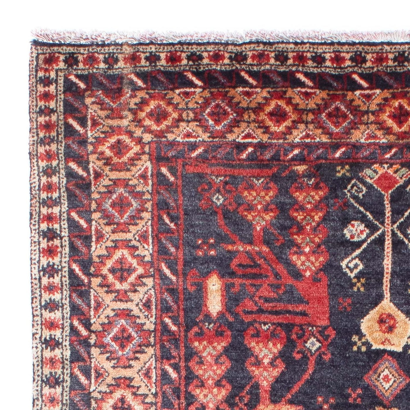 Tapis Belutsch 150x85cm - Tapis oriental