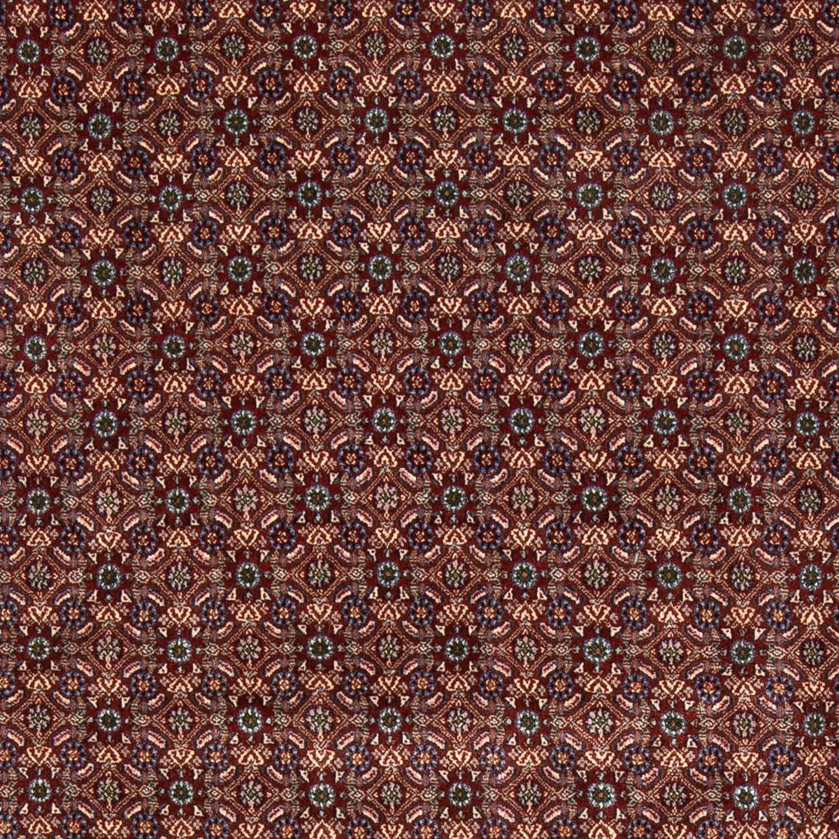 Tapis persan - Classique carré  - 197 x 196 cm - rouge foncé